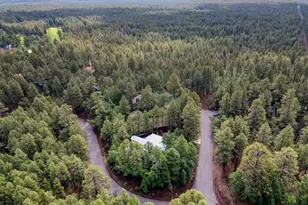 6450 Cinder Mountain Dr, Pinetop, AZ 85935 - Photo 42