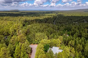 6450 Cinder Mountain Dr, Pinetop, AZ 85935 - Photo 44