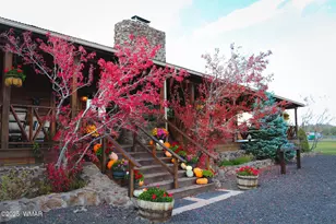 9382 Mountain Meadow Ln, Lakeside, AZ 85929 - Photo 2