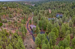 5160 W Tatanka Loop, Show Low, AZ 85901 - Photo 26
