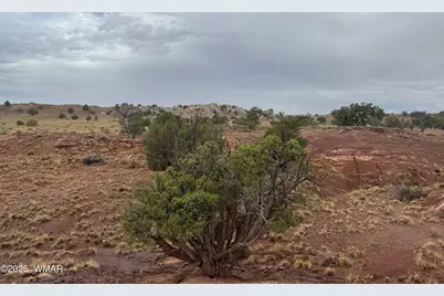 Tbd (Lot 231) N9326, Concho, AZ 85924 - Photo 6