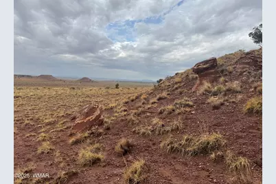 Tbd (Lot 231) N9326, Concho, AZ 85924 - Photo 4