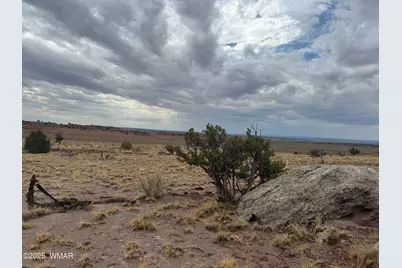Tbd (Lot 231) N9326, Concho, AZ 85924 - Photo 12