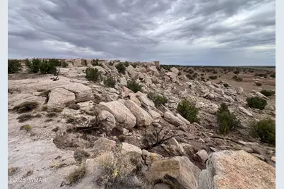 Tbd (Lot 231) N9326, Concho, AZ 85924 - Photo 16