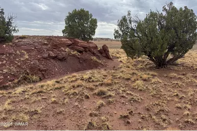 Tbd (Lot 231) N9326, Concho, AZ 85924 - Photo 8