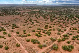 92 County Rd N5417, Concho, AZ 85924 - Photo 36