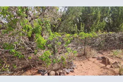 92 County Road N5417, Concho, AZ 85924 - Photo 42