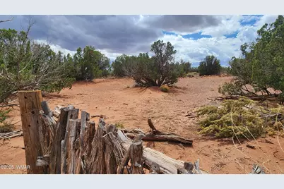 92 County Road N5417, Concho, AZ 85924 - Photo 46