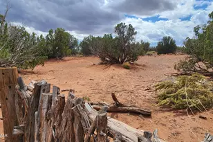 92 County Rd N5417, Concho, AZ 85924 - Photo 46