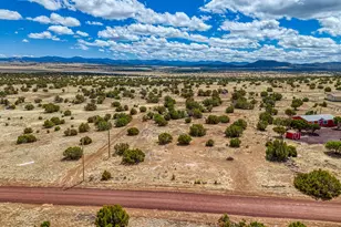 42 County Road 8006, Concho, AZ 85924 - Photo 1