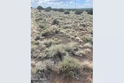 01 Aspen Drive, Concho, AZ 85924 - Photo 4