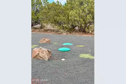 1826 Howard Place, Show Low, AZ 85901 - Photo 8