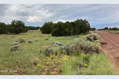 4979 W Tharp Road, Snowflake, AZ 85937 - Photo 12