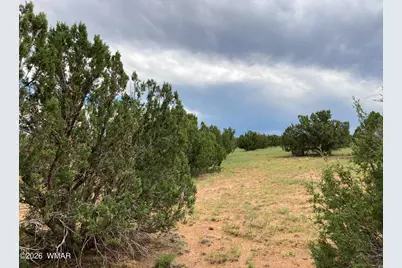 4979 W Tharp Road, Snowflake, AZ 85937 - Photo 4