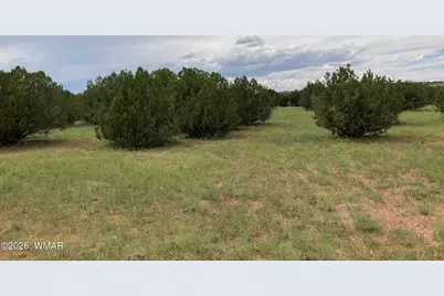 4979 W Tharp Road, Snowflake, AZ 85937 - Photo 14