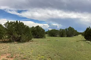 4979 W Tharp Rd, Snowflake, AZ 85937 - Photo 1