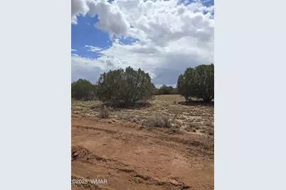 4979 W Tharp Road, Snowflake, AZ 85937 - Photo 2
