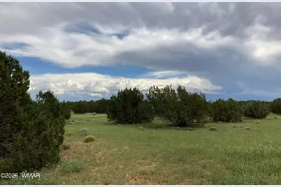 4979 W Tharp Road, Snowflake, AZ 85937 - Photo 18