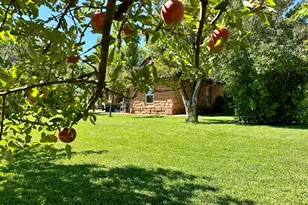 6442 W 1st St, Woodruff, AZ 85942 - Photo 50