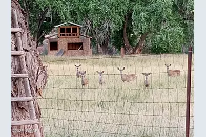 6442 W 1st Street, Woodruff, AZ 85942 - Photo 72