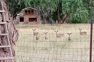 6442 W 1st St, Woodruff, AZ 85942 - Photo 72