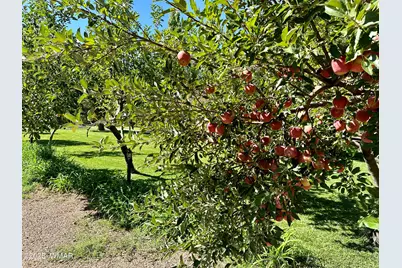 6442 W 1st Street, Woodruff, AZ 85942 - Photo 44