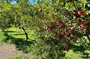 6442 W 1st St, Woodruff, AZ 85942 - Photo 44