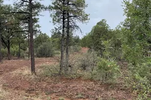 631 S Haven Dr, Show Low, AZ 85901 - Photo 1