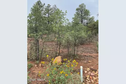 590 S Pine Haven Drive, Show Low, AZ 85901 - Photo 8