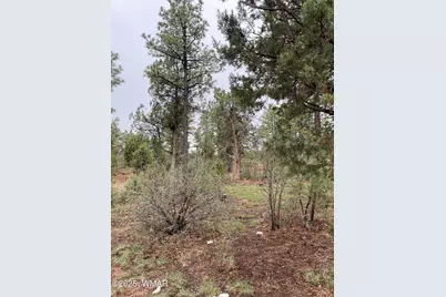 590 S Pine Haven Drive, Show Low, AZ 85901 - Photo 6