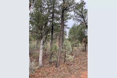 590 S Pine Haven Drive, Show Low, AZ 85901 - Photo 1