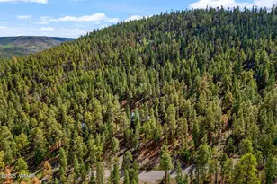 26 Cr N 1068 St, Greer, AZ 85927 - Photo 38