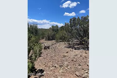 15 Oak Drive, Concho, AZ 85924 - Photo 8