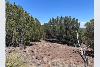 15 Oak Drive, Concho, AZ 85924 - Photo 14