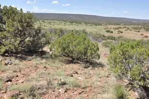 19 N8483, Concho, AZ 85924 - Photo 32