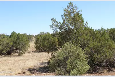 Section 9 T14N,R16E, Heber, AZ 85928 - Photo 1