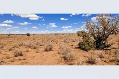 006S Willis Ranch Ln, Snowflake, AZ 85937 - Photo 6