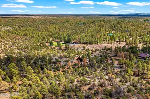 2343 Dovetail, Overgaard, AZ 85933 - Photo 34