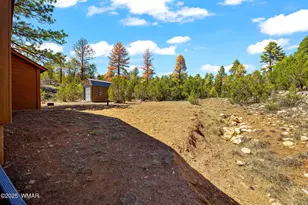 2343 Dovetail, Overgaard, AZ 85933 - Photo 30