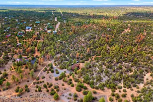 2343 Dovetail, Overgaard, AZ 85933 - Photo 36