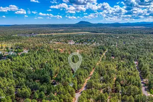 5382 Pine Dawn Rd, Lakeside, AZ 85929 - Photo 10