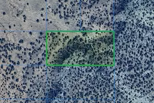 Tbd N8537, Concho, AZ 85924 - Photo 1