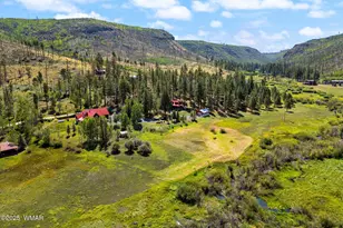 61 Cr 1121, Greer, AZ 85927 - Photo 94