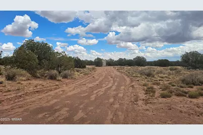 4365 Mountain View Road, Snowflake, AZ 85937 - Photo 2
