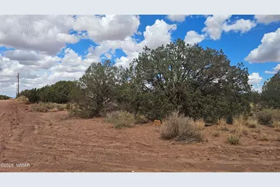 4365 Mountain View Road, Snowflake, AZ 85937 - Photo 4