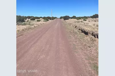 35 Lexington, Concho, AZ 85924 - Photo 8