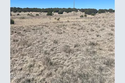 35 Lexington, Concho, AZ 85924 - Photo 2