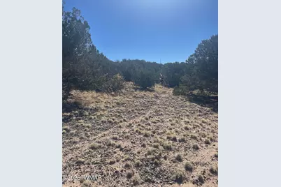 87 Lexington, Concho, AZ 85924 - Photo 6