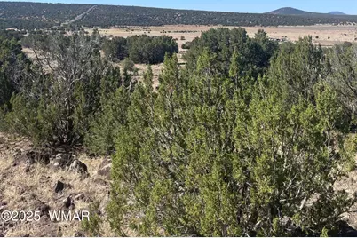 87 Lexington, Concho, AZ 85924 - Photo 4