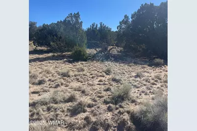 87 Lexington, Concho, AZ 85924 - Photo 8